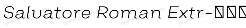 Salvatore Roman Extr字体转换